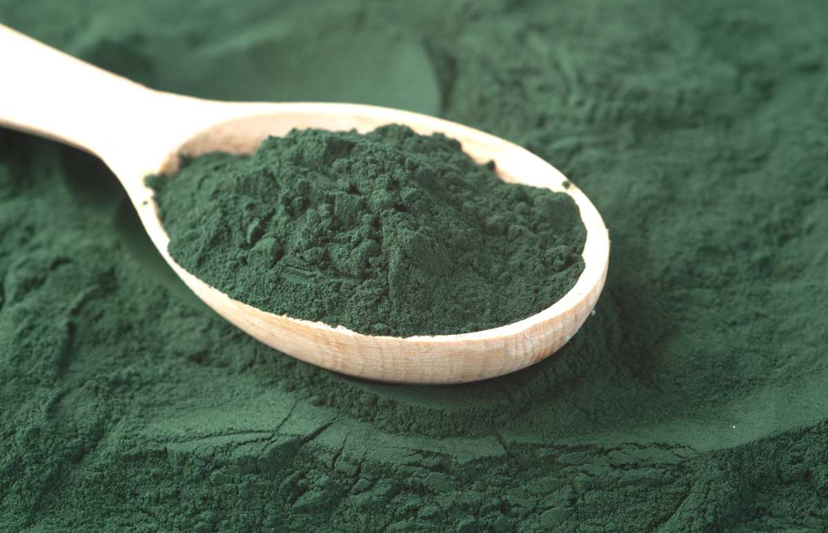 Spiruline - crédit photo : AlexeiLogvinovich via Shutterstock